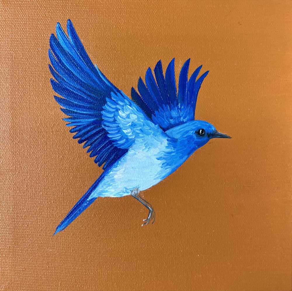 Sialia currucoides, pintura de Elleny Gherghe